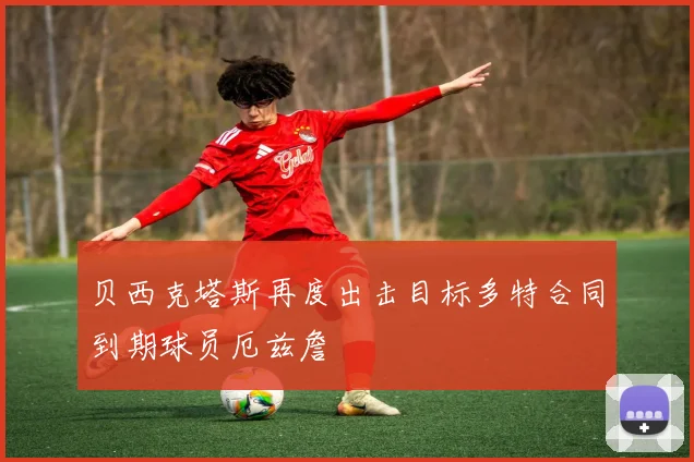 贝西克塔斯再度出击目标多特合同到期球员厄兹詹